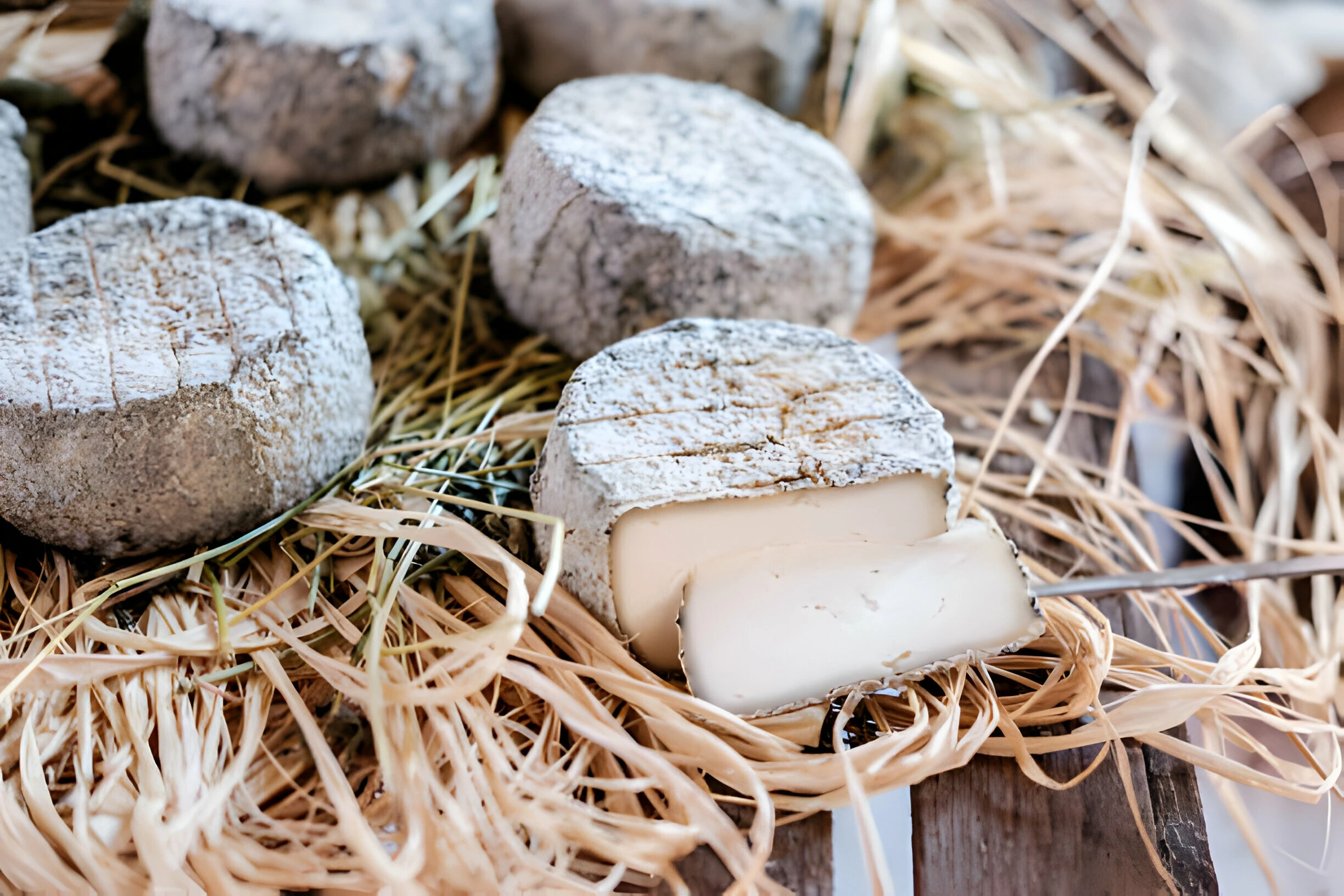 What Pairs With Goat Cheese? The Ultimate Guide for Cheese Lovers