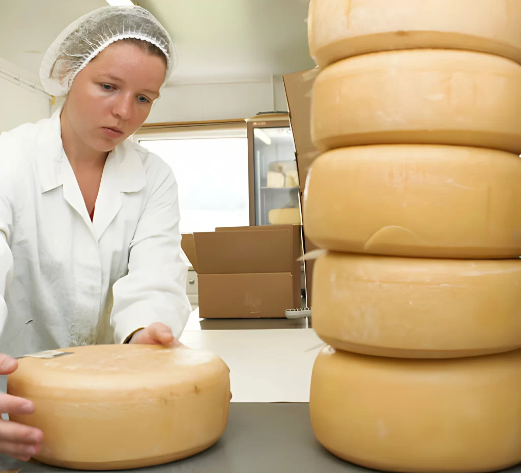 How To Ship Cheese: All You Need To Know